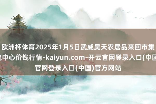 欧洲杯体育2025年1月5日武威昊天农居品来回市集暨仓储物流