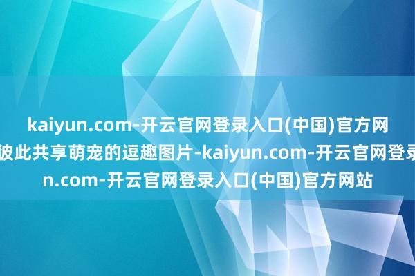 kaiyun.com-开云官网登录入口(中国)官方网站爱小动