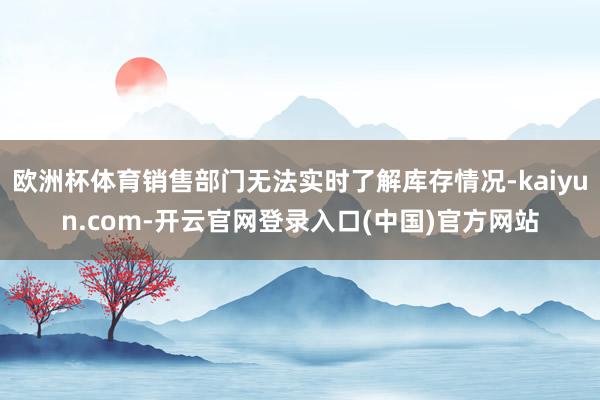 欧洲杯体育销售部门无法实时了解库存情况-kaiyun.com