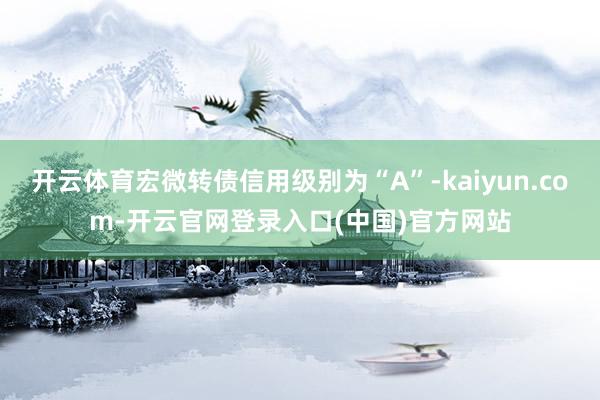 开云体育宏微转债信用级别为“A”-kaiyun.com-开云