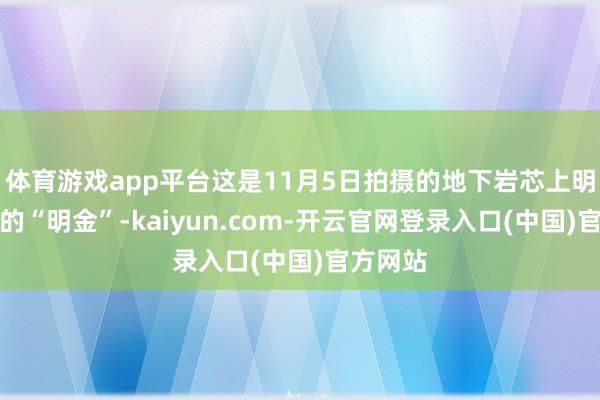 体育游戏app平台这是11月5日拍摄的地下岩芯上明晰可见的“