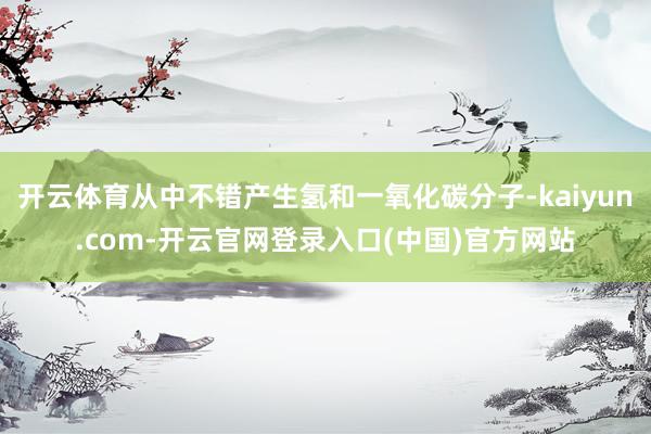 开云体育从中不错产生氢和一氧化碳分子-kaiyun.com-